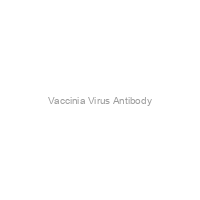 Vaccinia Virus Antibody